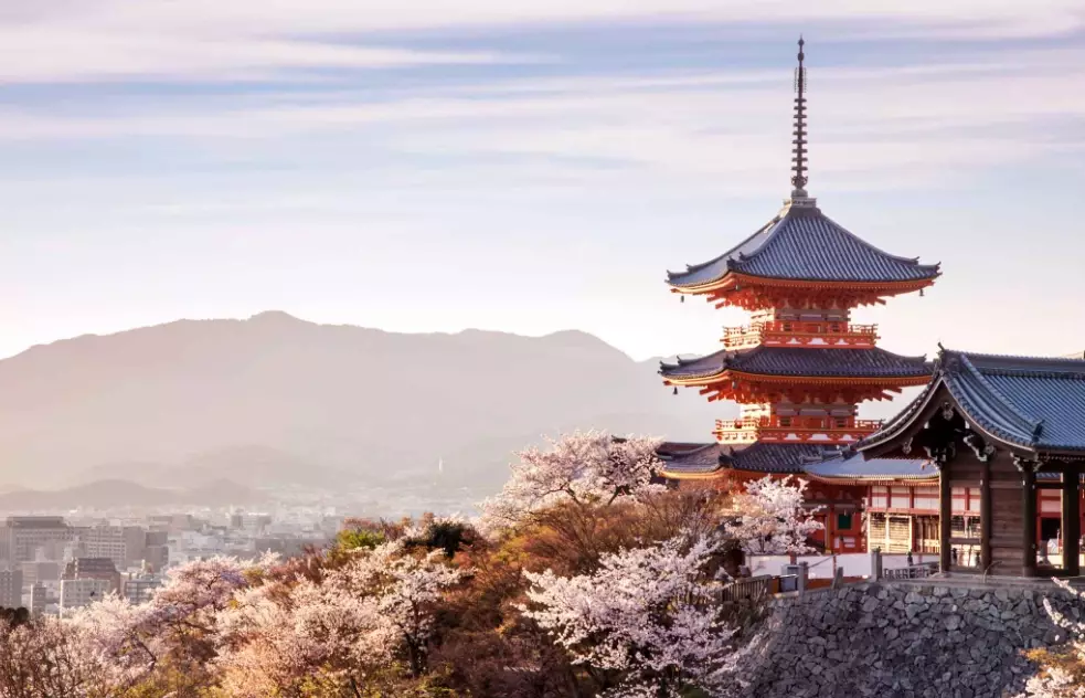 Kyoto temple tours