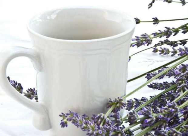 herbal remedies for insomnia